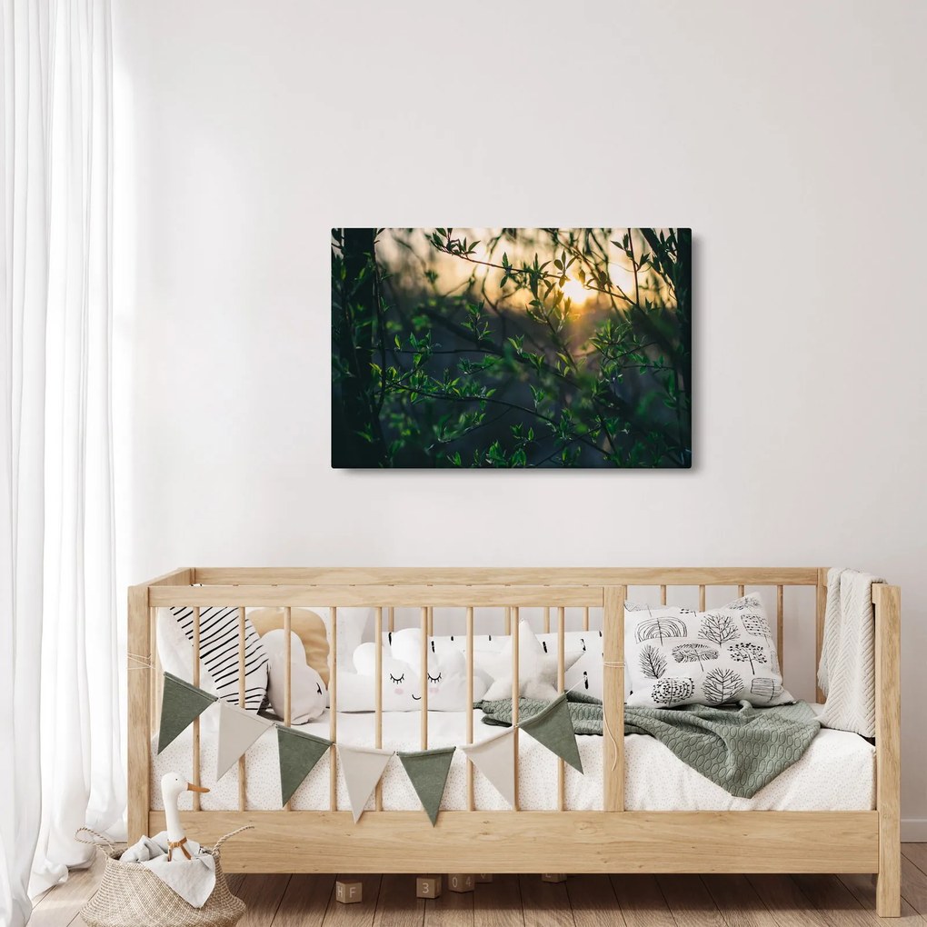 Obraz presvitajúceho slnka cez vetvičky stromov (90x60 cm)