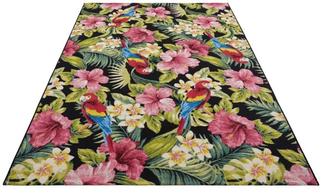 Koberec Hanse Home Flair Tropical Feeling viacfarebný