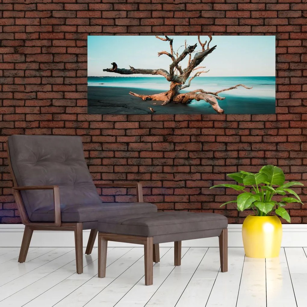 Obraz - Vyplavenie na pláži (120x50 cm)