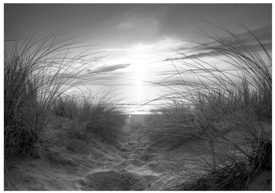 Artgeist Fototapeta - beach (black and white) Veľkosť: 100x70, Verzia: Standard