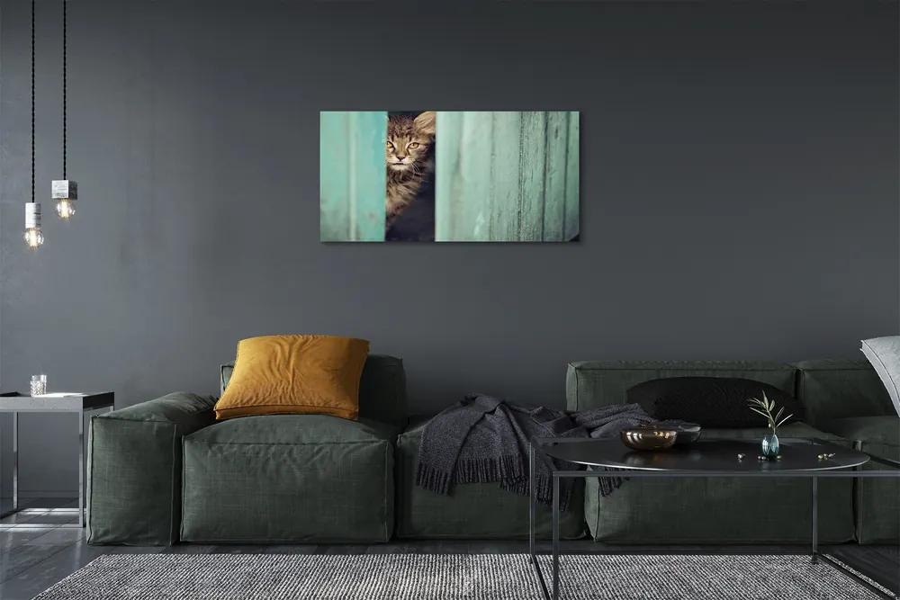 Obraz na plátne Zaglądający cat 120x60 cm