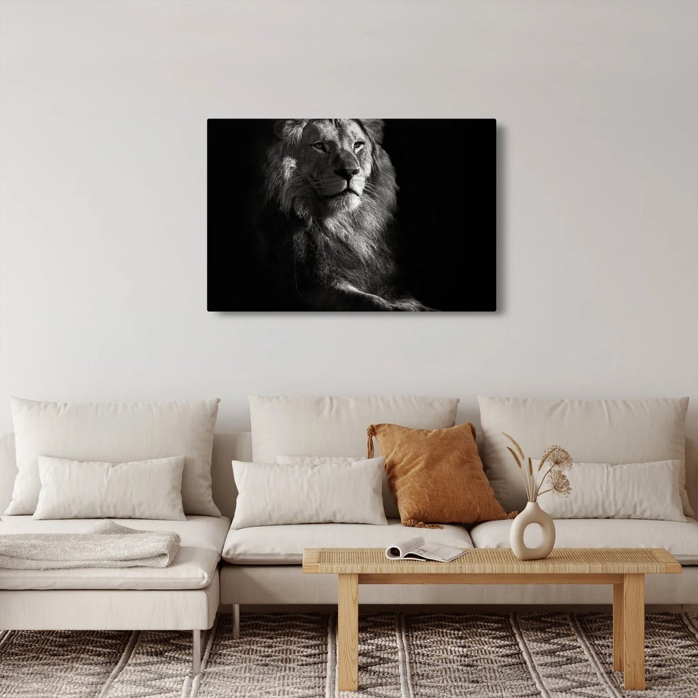 Obraz - Lev (90x60 cm)