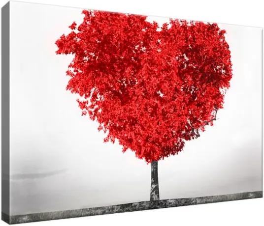 Obraz na plátne Červený strom lásky 30x20cm 2504A_1T