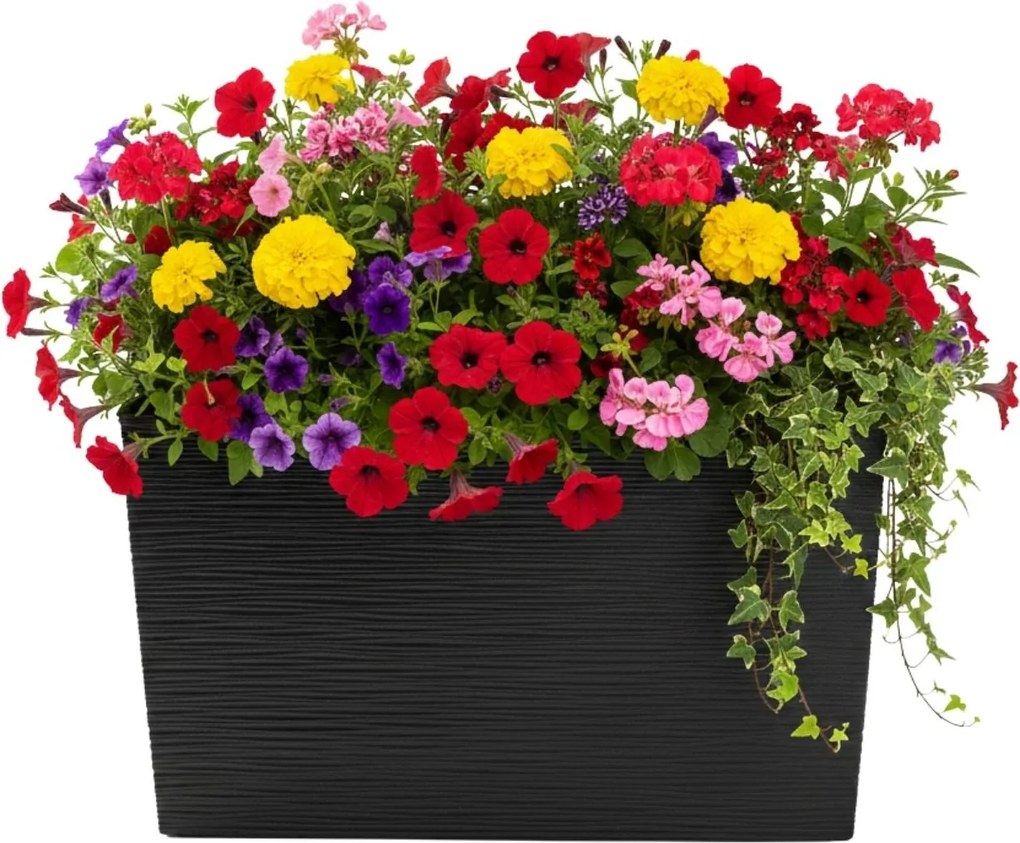 Sada 2 ks květináčů Riflo 56×19/36,2×56,1 cm černá