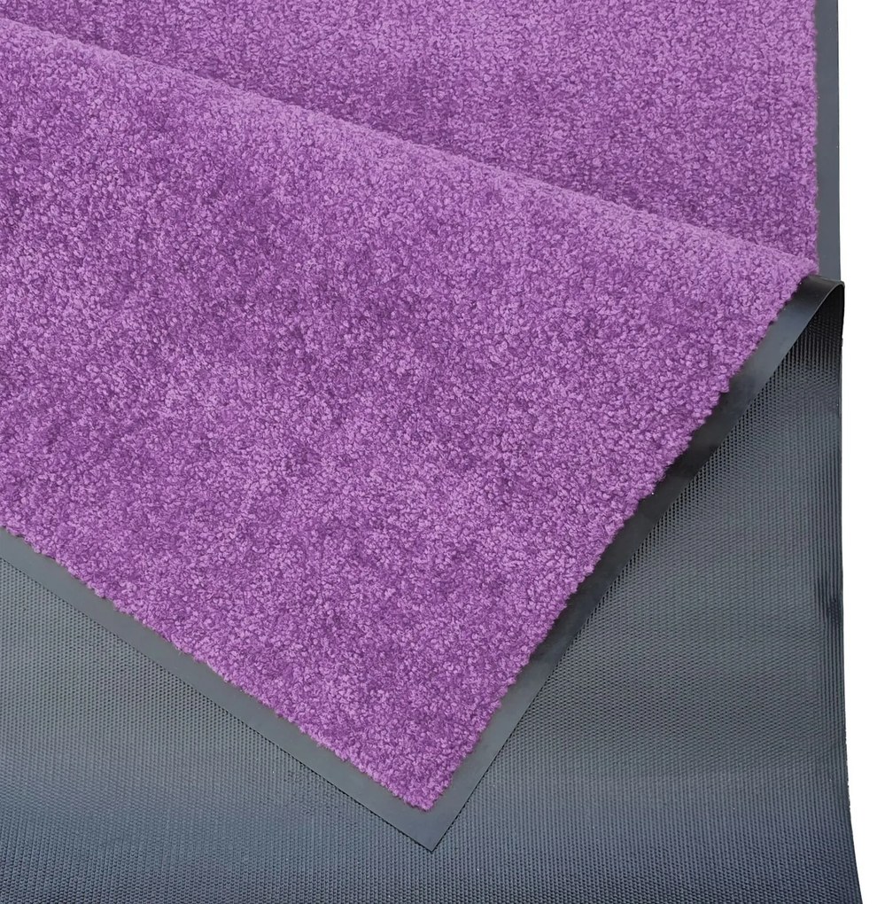 Hanse Home Collection koberce Rohožka Wash & Clean 103838 Violett - 60x90 cm