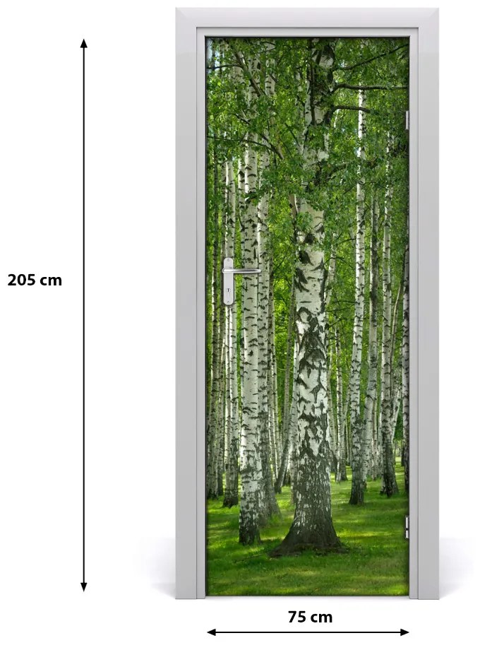 Fototapeta na dvere Břízová les 75x205 cm