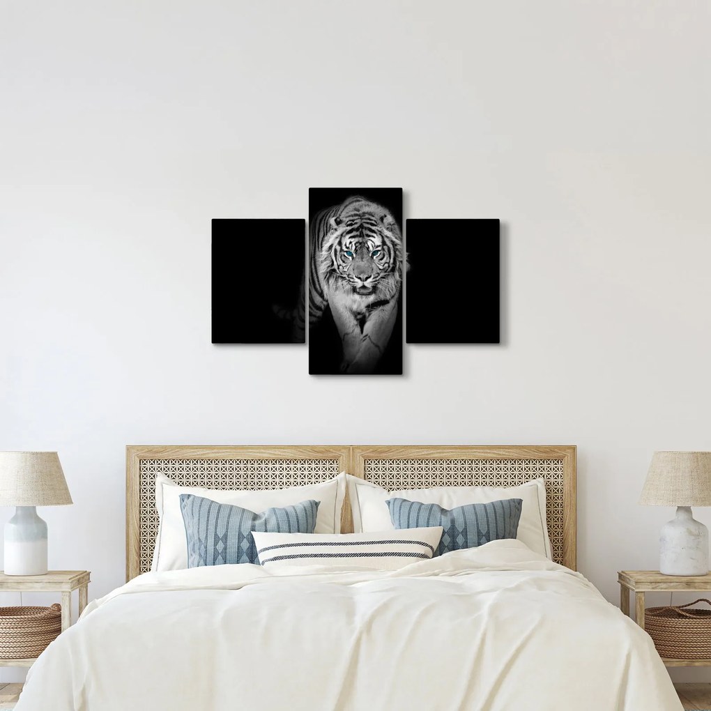 Obraz - Tiger s modrými očami (90x60 cm)
