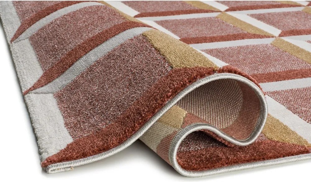 Koberec v terakotovej farbe 160x230 cm Amara – Universal
