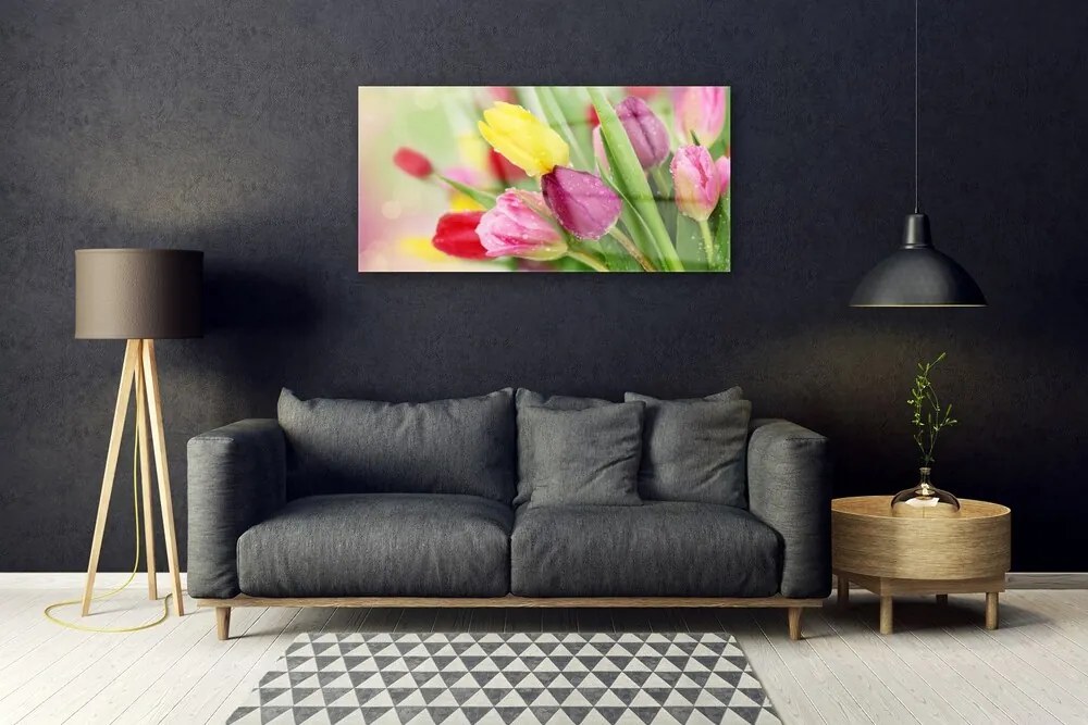 Obraz na skle Tulipány kvety rastlina 100x50 cm