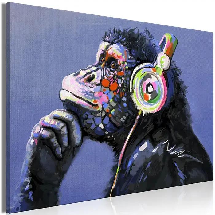 Obraz - Musical Monkey (1 Part) Wide Veľkosť: 90x60, Verzia: Premium Print