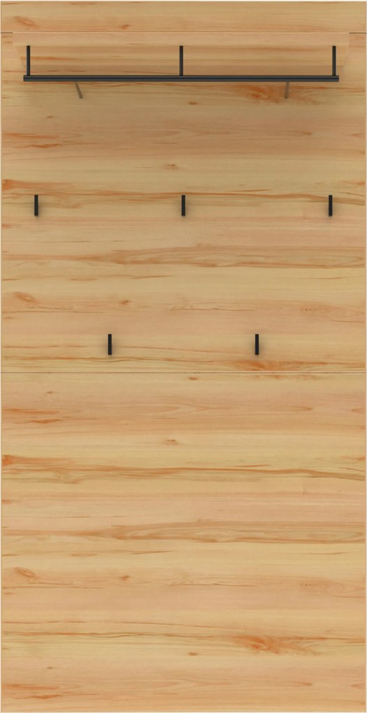 XXXLutz VEŠIAKOVÝ PANEL, farba buka, čierna, 80/158/28 cm Cantus - Vešiakové steny - 002737049304