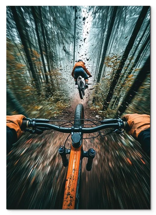drevko | Obraz na stenu Bike adrenalín