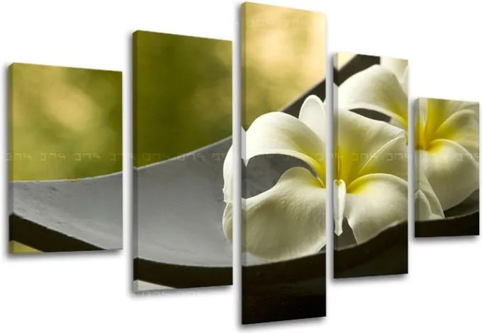 Obraz na stenu 5 dielny FENG SHUI FS031E50