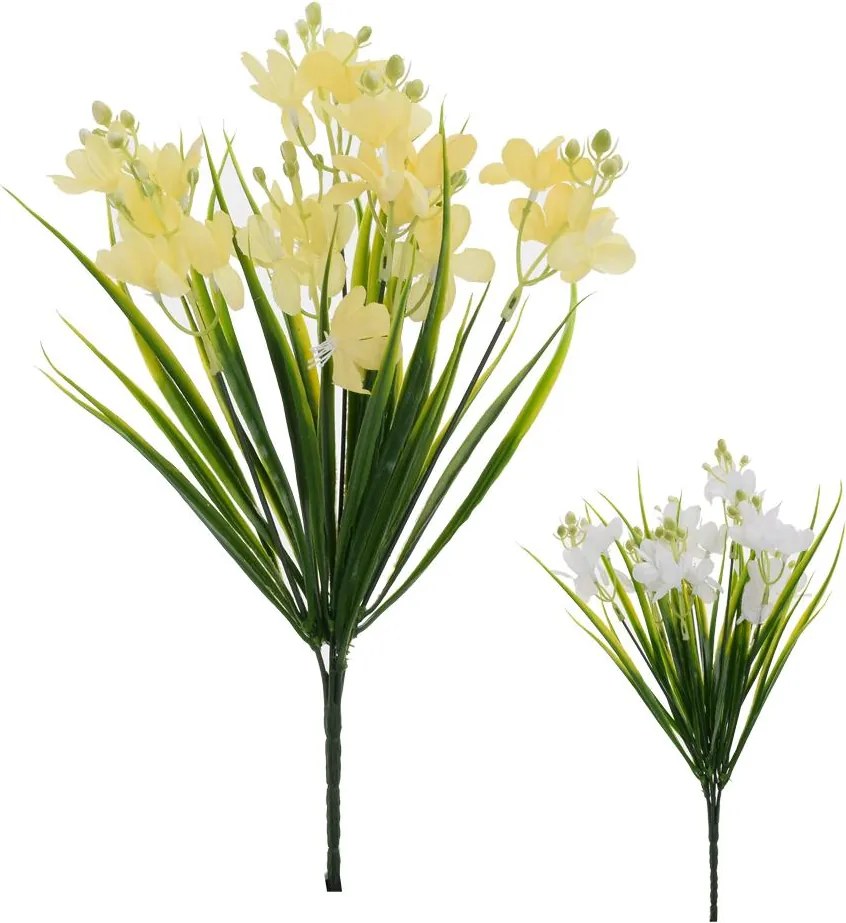 KYTICA FRÉZIA 2F 30cm - CENA ZA 1KS