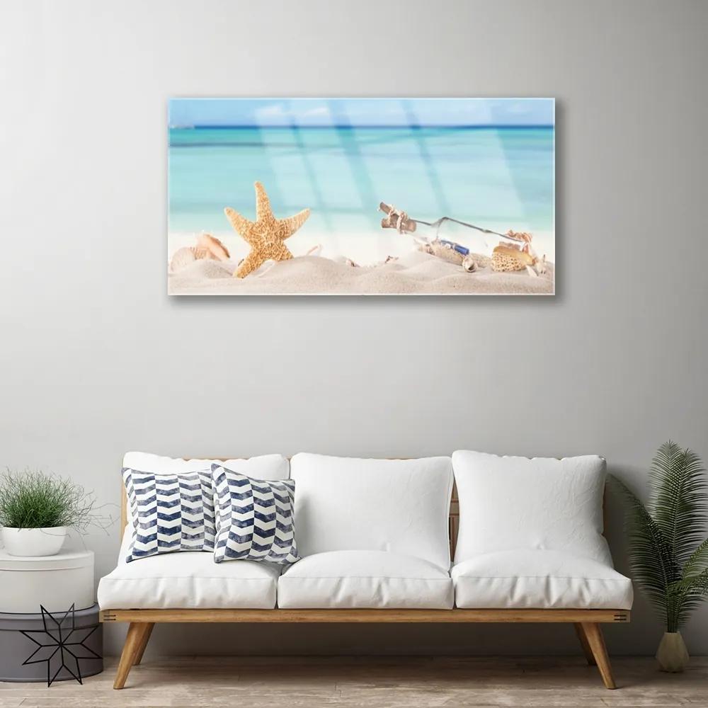 Skleneny obraz Hviezdice mušle pláž 120x60 cm