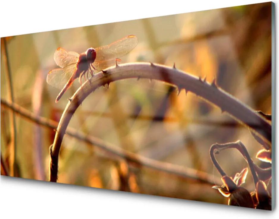 Akrylové obraz Vážka příroda rostlina