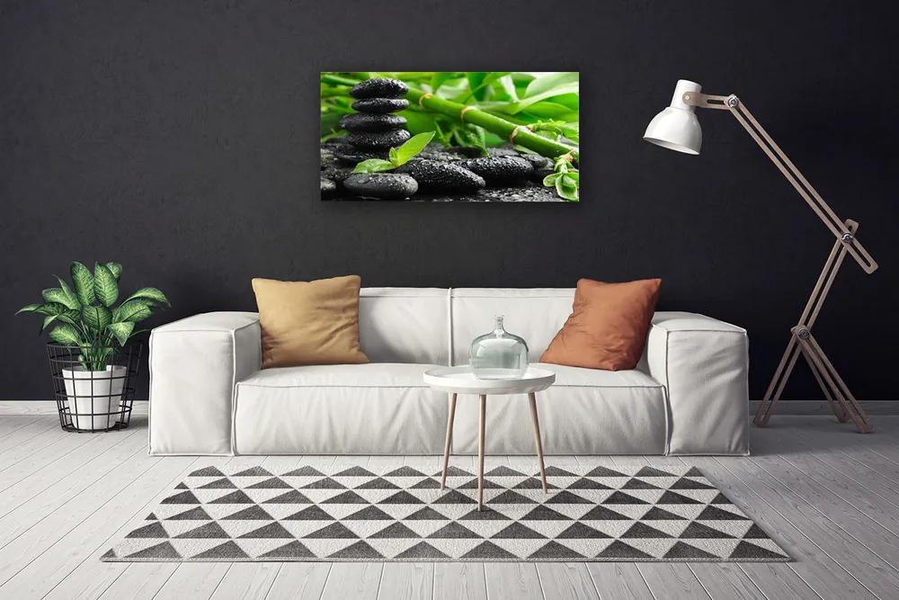 Obraz na plátne Bambus kamene rastlina 140x70 cm