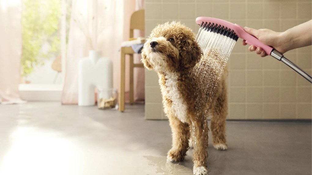 Hansgrohe DogShower, ručná sprcha pre psa, ružová, HAN-26640560