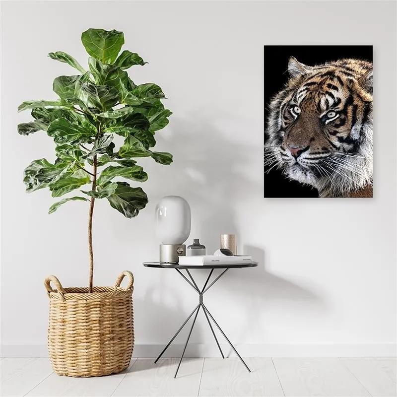 Obraz na plátně Tygr Příroda Zvířata - 80x120 cm