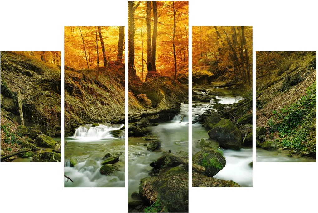 Obraz - Les (150x105 cm)