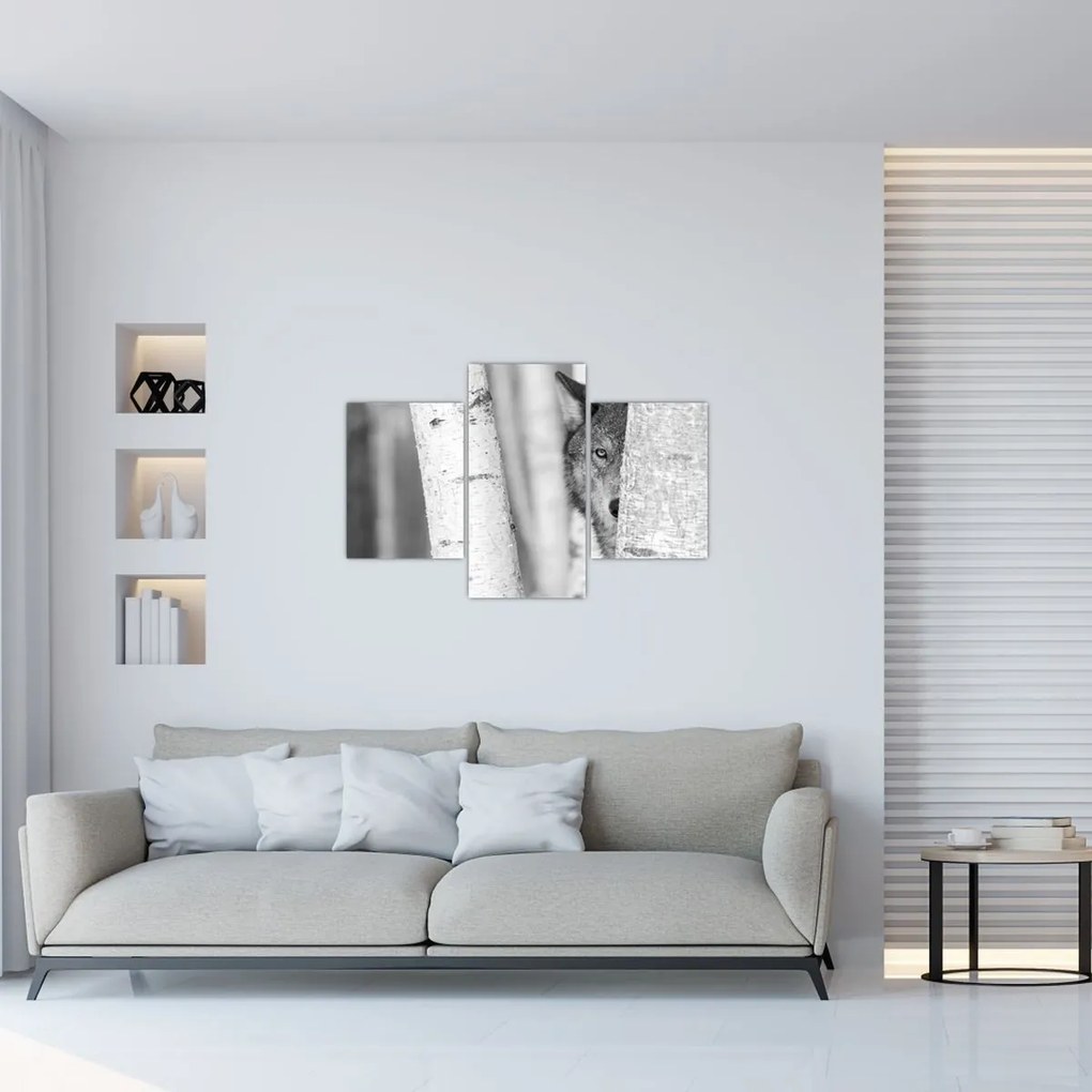Obraz - Vlk v lese (90x60 cm)