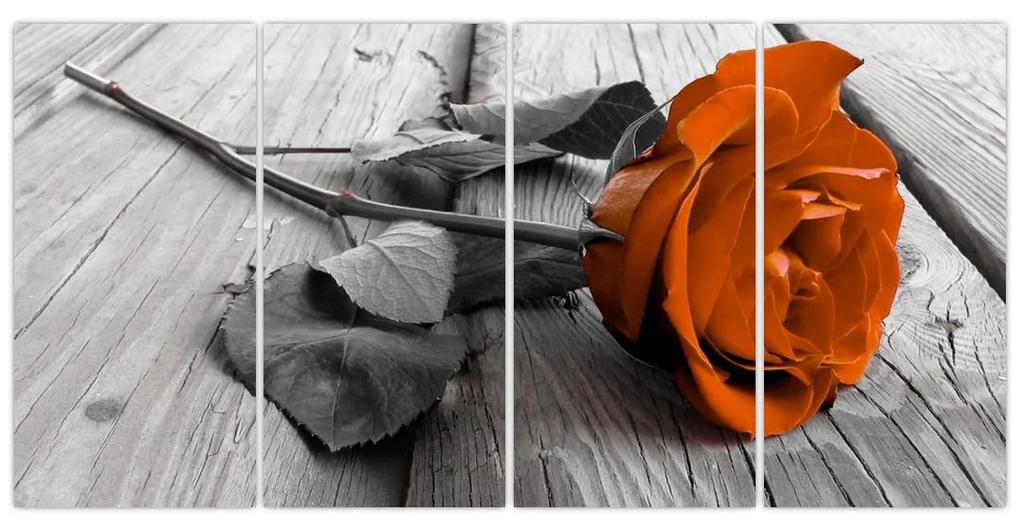 Ruže oranžová - obraz