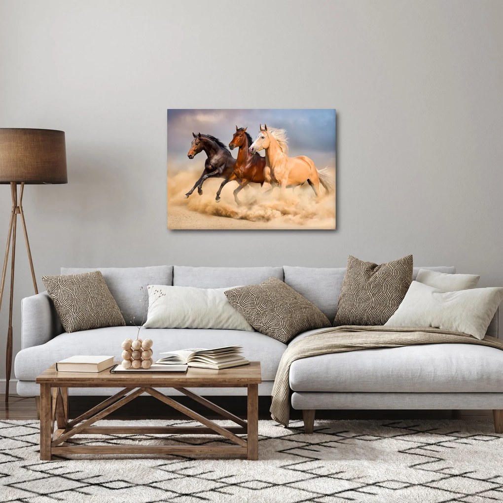 Obraz - Divé kone (70x50 cm)