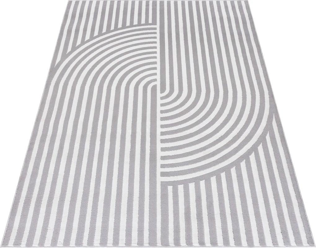 TA Koberec NG91A GRAY/WHITE ELLEN Sivý Obdĺžnikový Rozmer: 160x230 cm