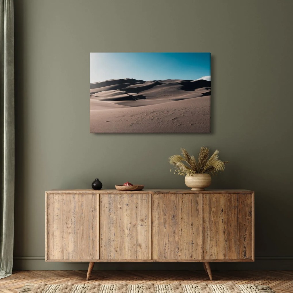 Obraz - Z púšte (90x60 cm)