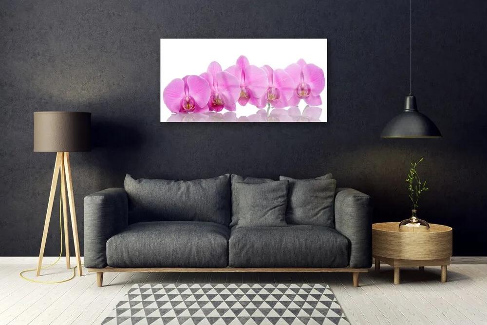 Obraz plexi Ružová orchidea kvety 100x50 cm