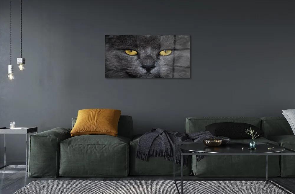 Sklenený obraz Čierna mačka 120x60 cm
