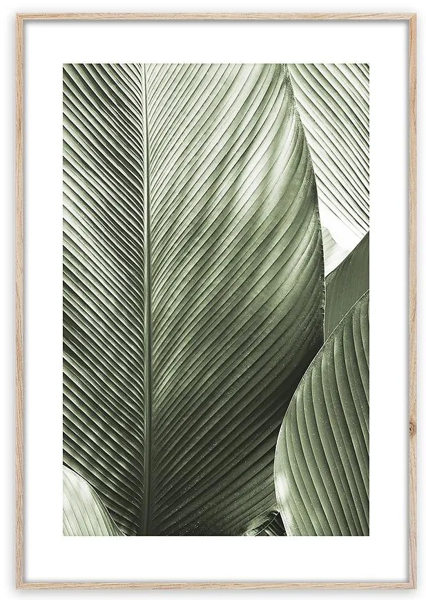 Obraz Artbox Digi 50x70 Br002 Macro