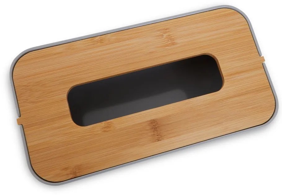Plastový box na vreckovky Canyon – Premier Housewares