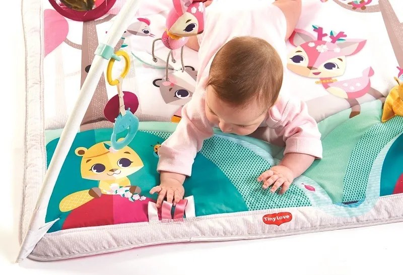Hracia deka s hrazdou Gymini Tiny Princess Tales
