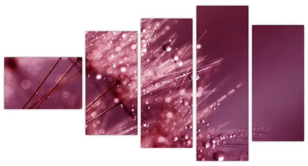 Obraz prírody - makrá