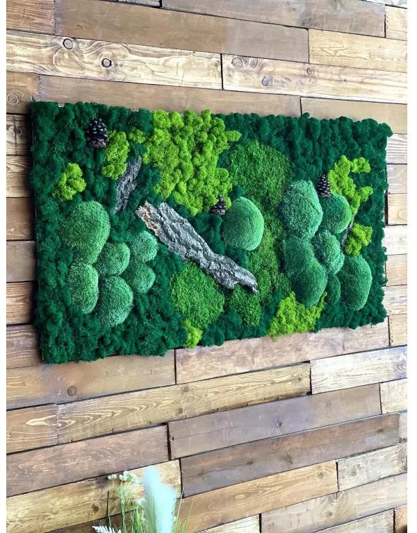Machový obraz  kombinovaný bolmoss flat moss