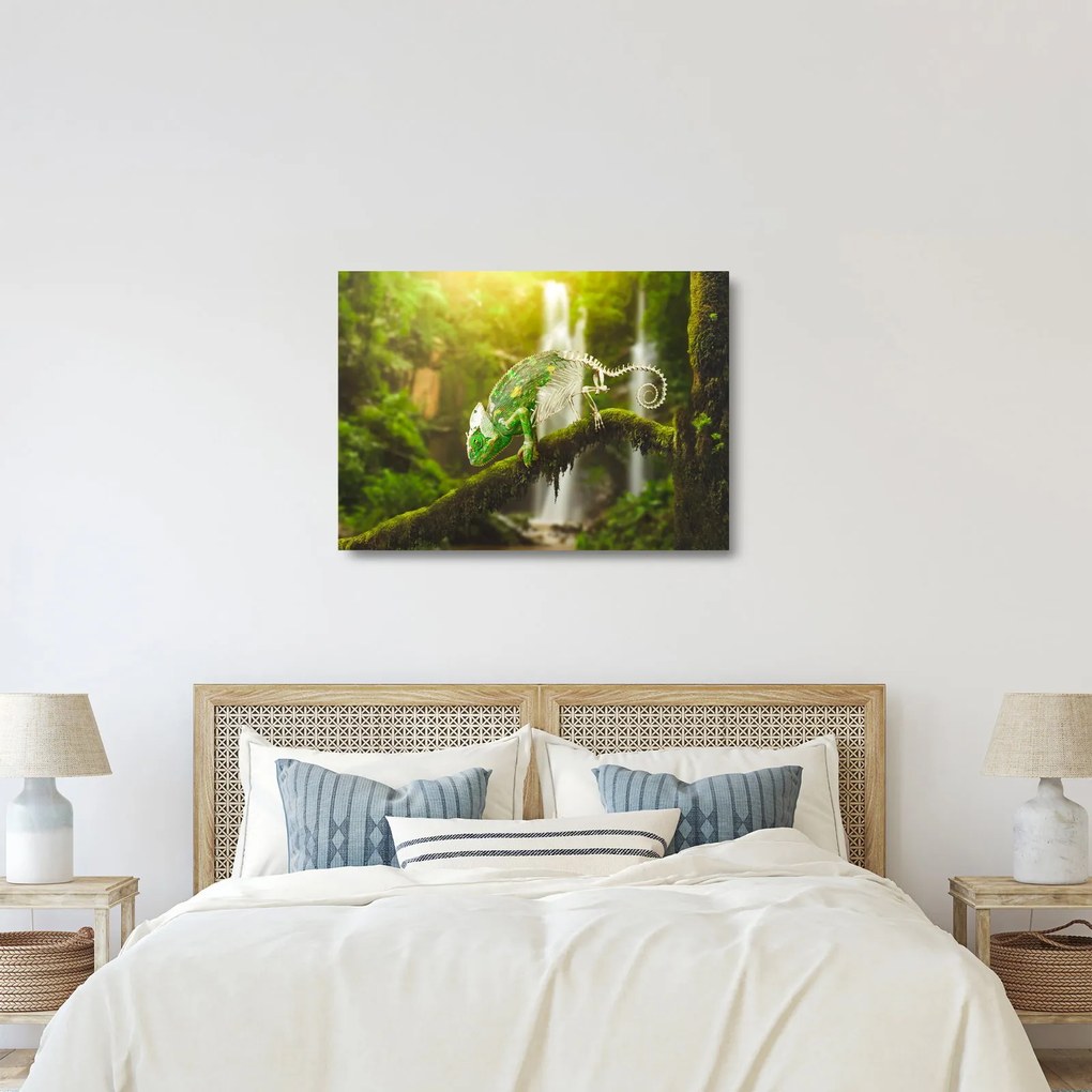 Sklenený obraz jašteričky (70x50 cm)