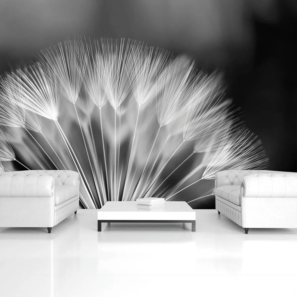 Fototapeta - Púpava (152,5x104 cm)
