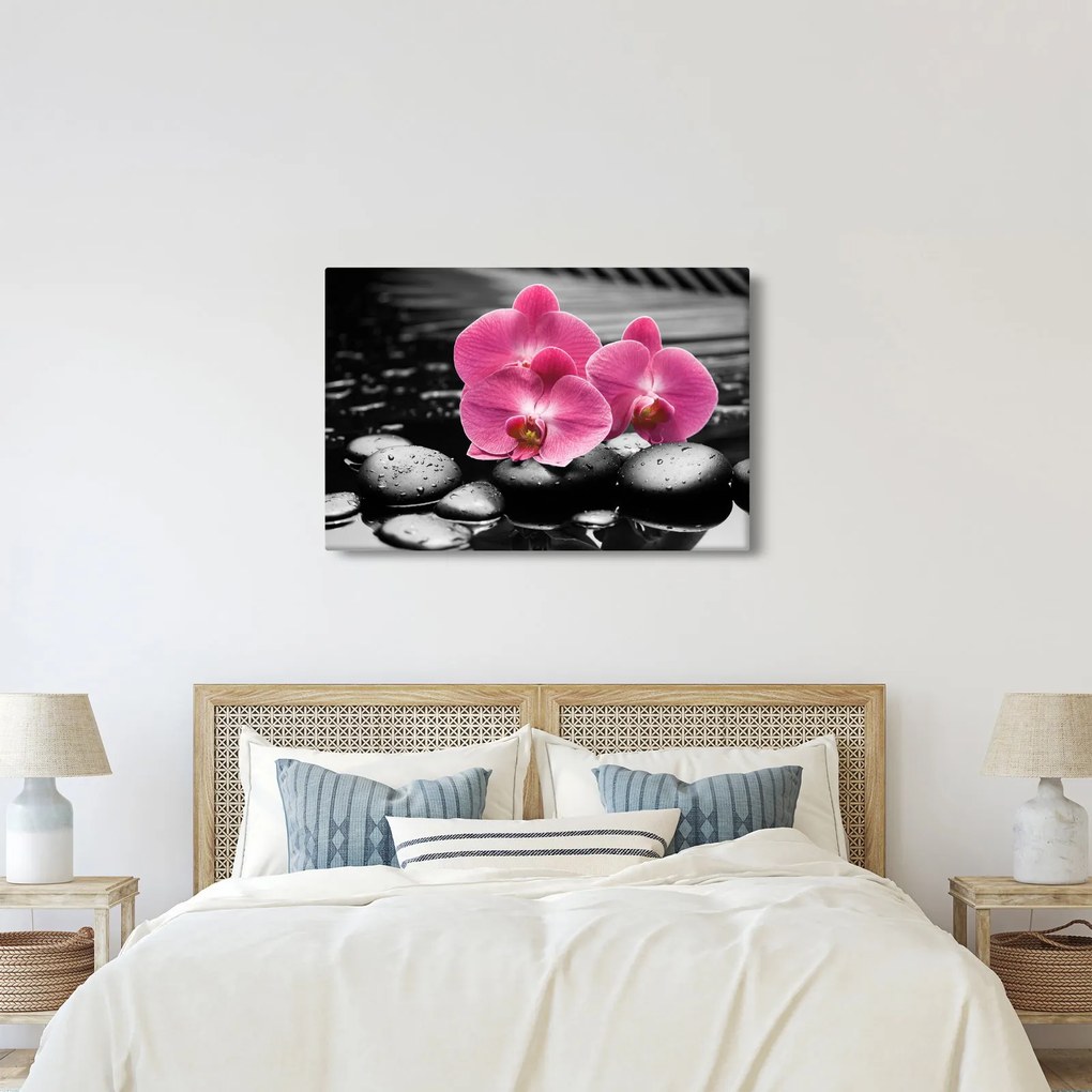 Obraz - Ružové orchidey (90x60 cm)