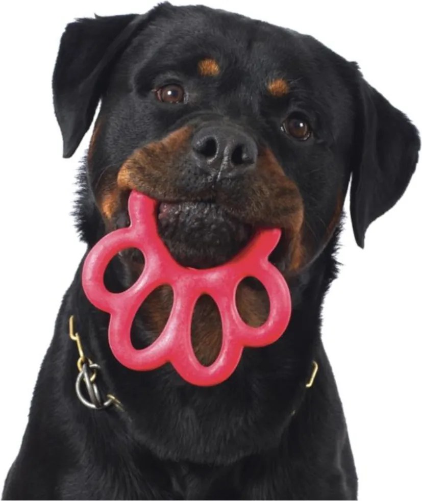 BAMA Hračka pre psov ORMA MINI Barva: oranžová