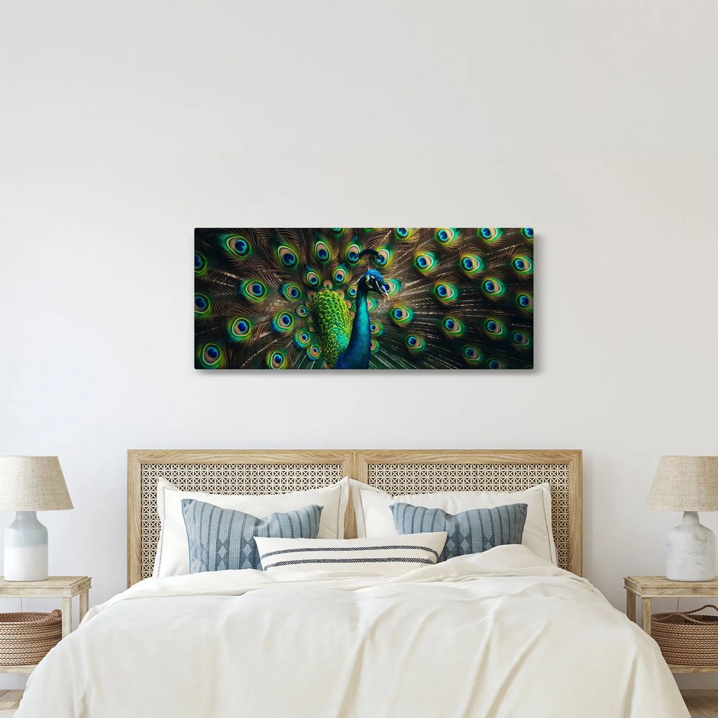 Obraz – Páv (120x50 cm)