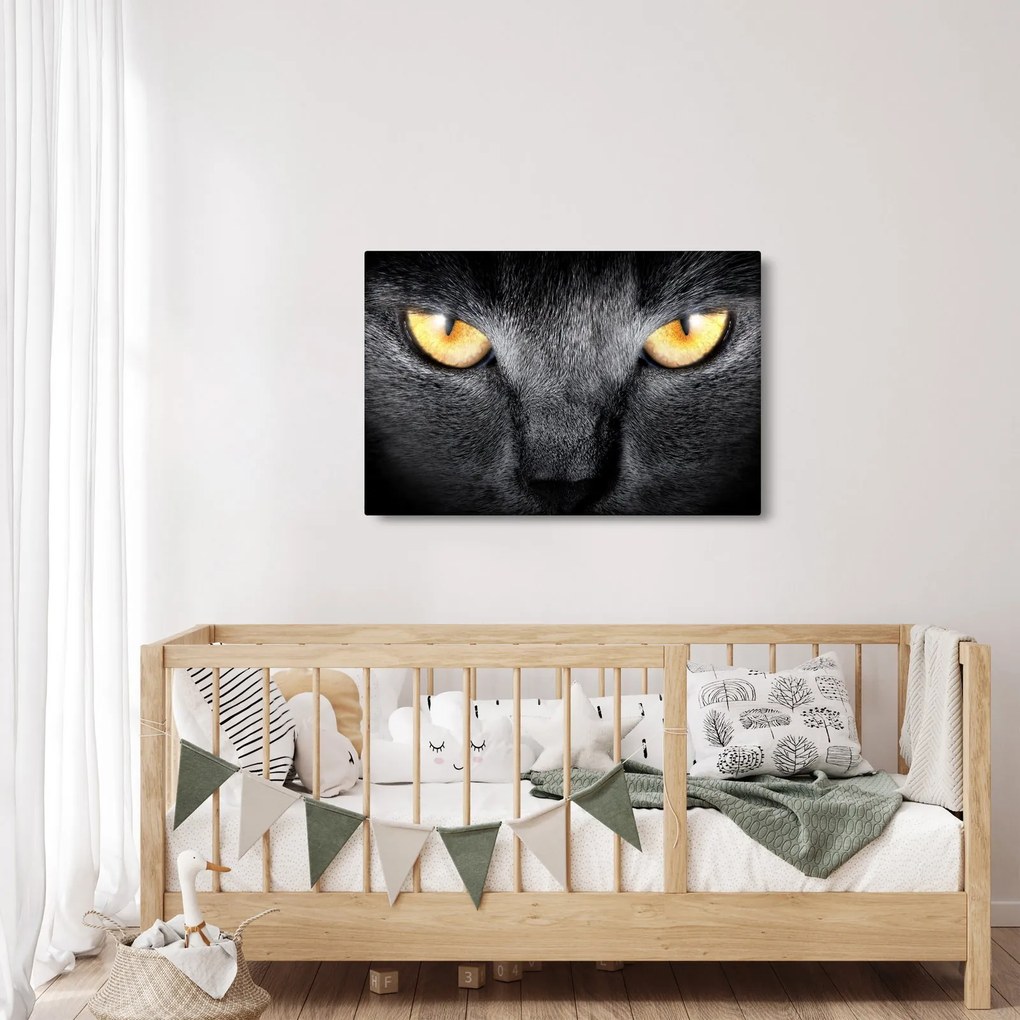 Obraz - Blízky portrét mačky (90x60 cm)