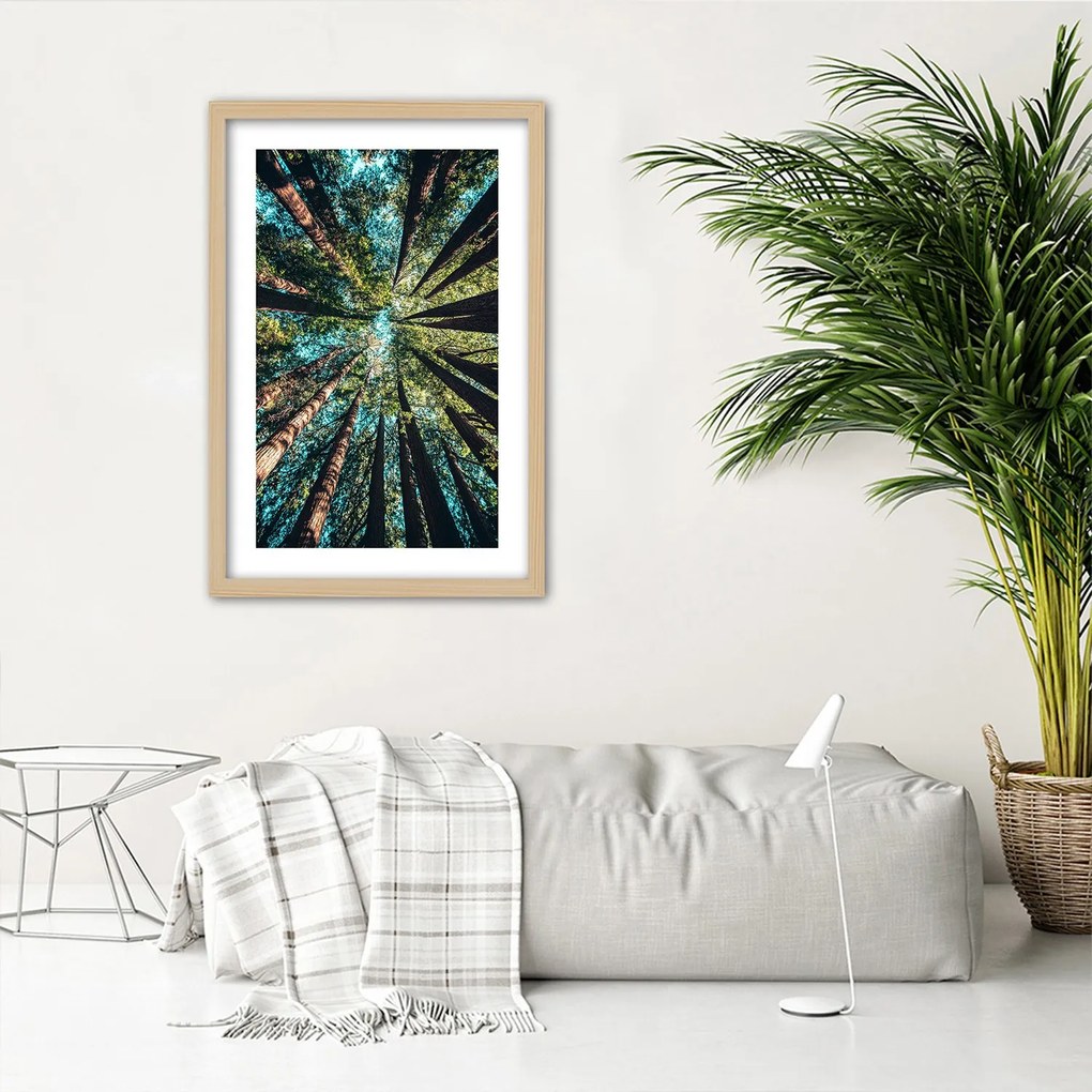 Gario Plagát Konáre vysokých stromov Farba rámu: Bez rámu, Rozmery: 40 x 60 cm