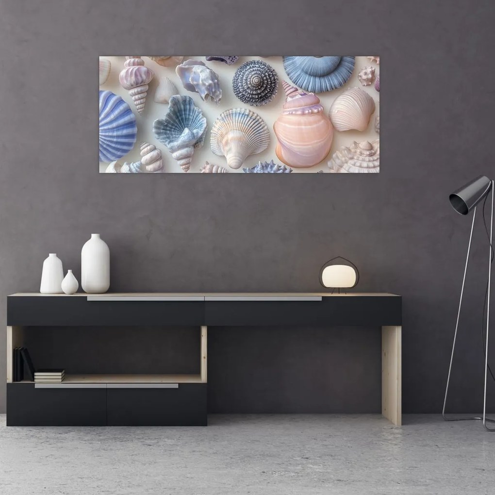 Obraz - Zbierka mušlí (120x50 cm)