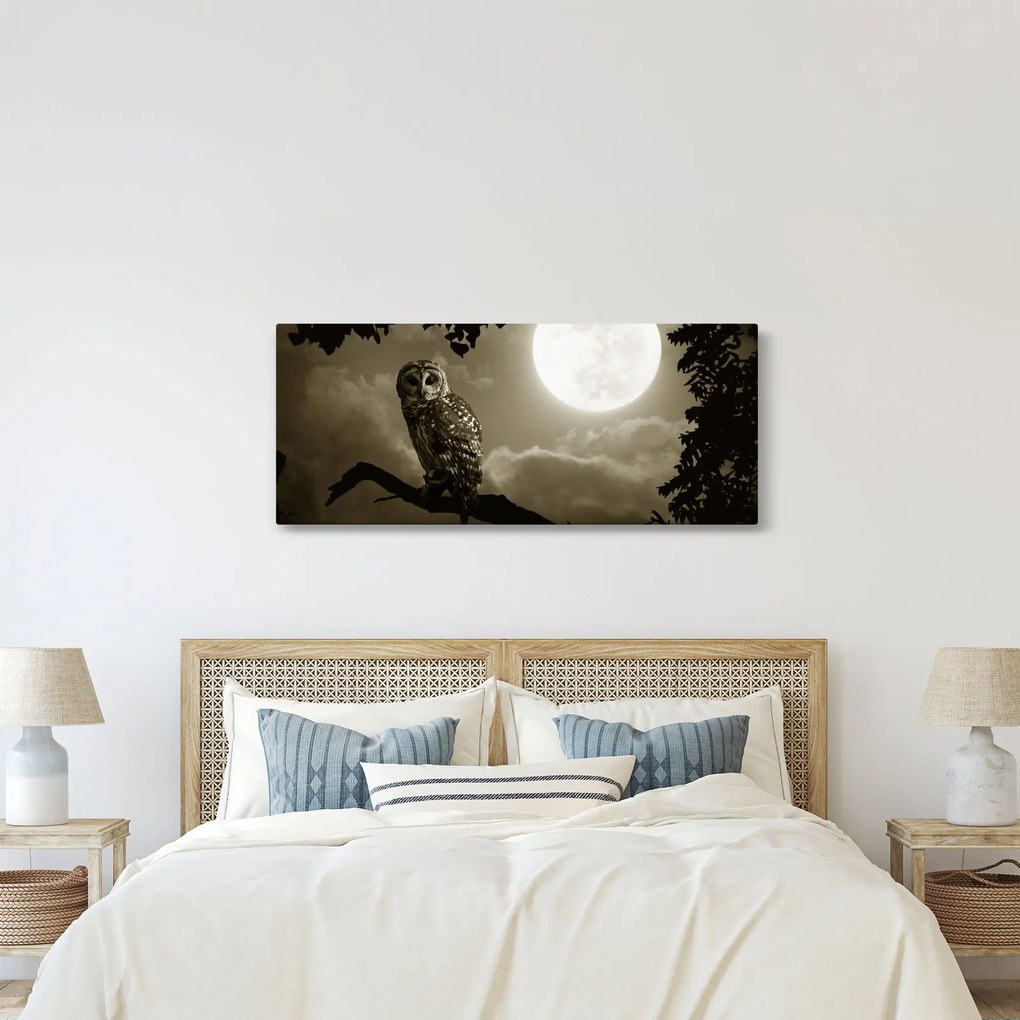 Obraz - Nočná sova, zlatá (120x50 cm)