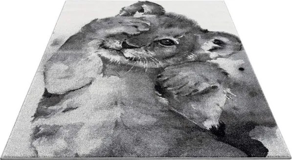 Koberec Savanna 9362 sivý