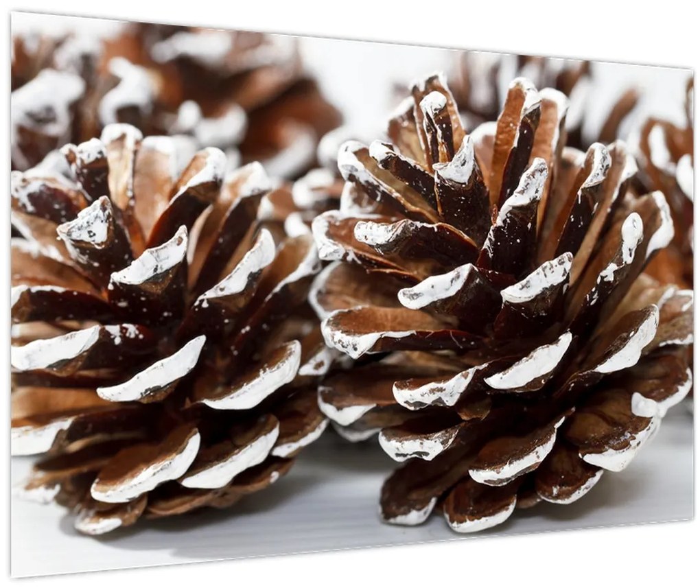 Obraz - Šišky (90x60 cm)