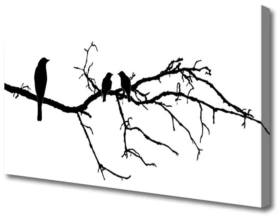 Obraz na plátne Vtáky vetva umenie 100x50 cm