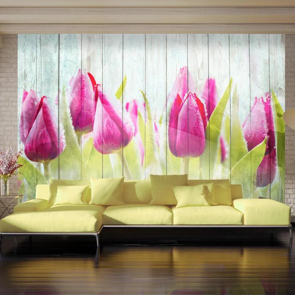 Fototapeta Bimago - Tulips on white wood + lepidlo zadarmo 400x280 cm