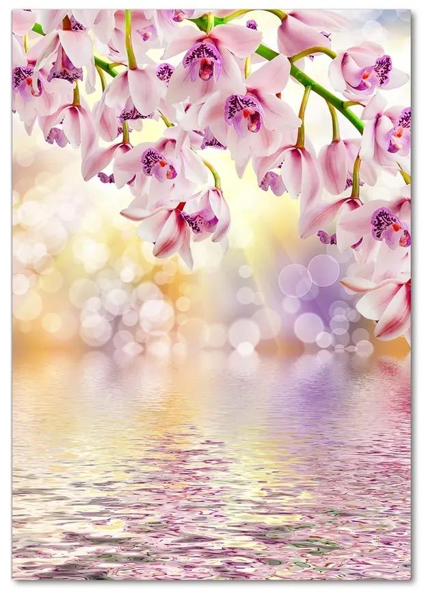 Foto obraz akrylový na stenu Orchidea pl-oa-70x100-f-65501947